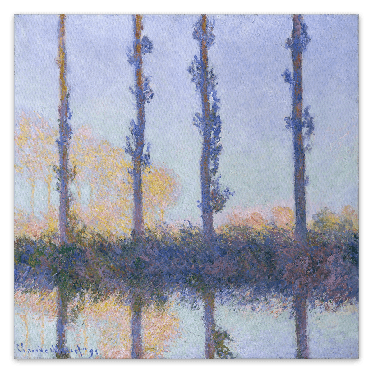 canvas