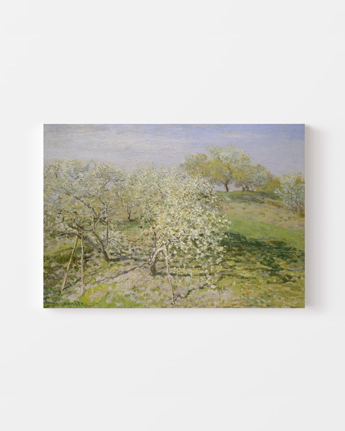 stretched-canvas
