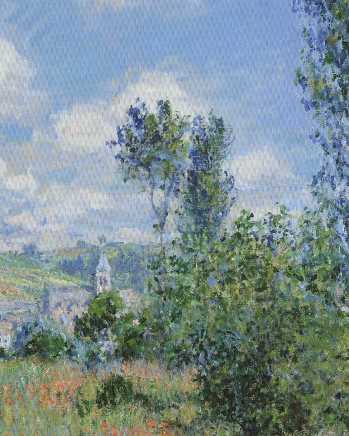 canvas