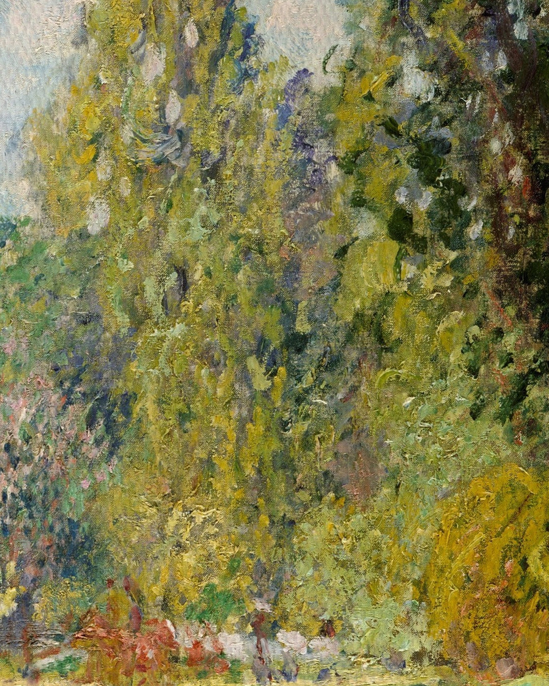 canvas