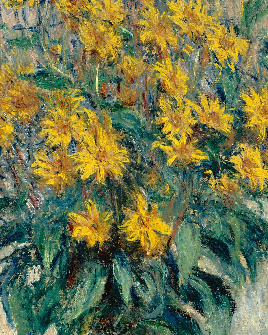 canvas