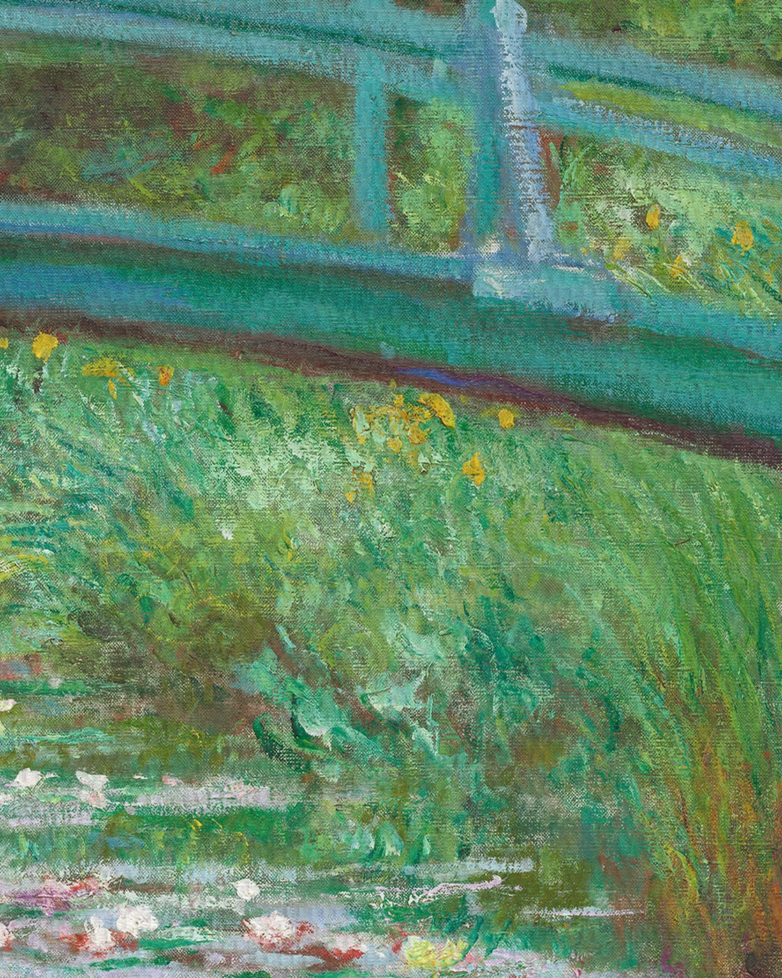 canvas