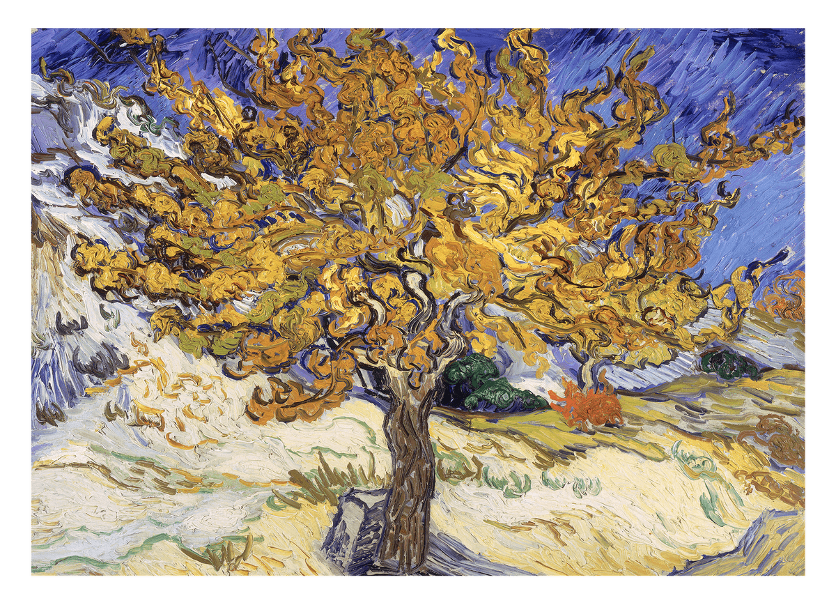 Vincent van Gogh - Maulbeerbaum (1889)