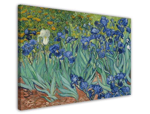 Vincent van Gogh - Schwertlilien (1889)
