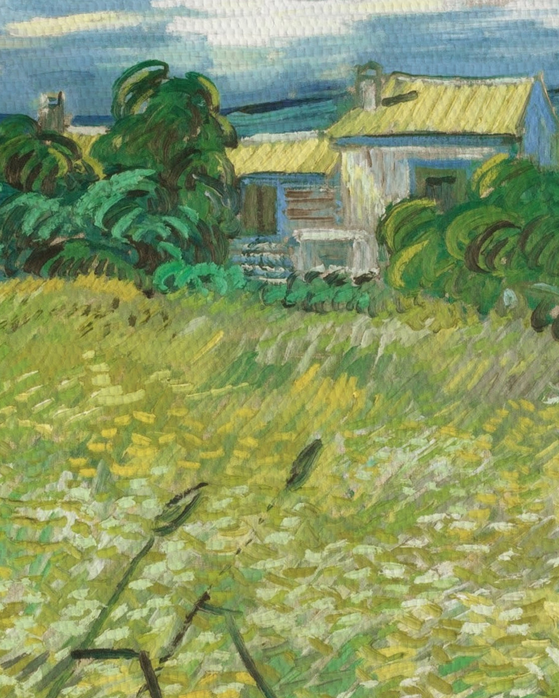 canvas