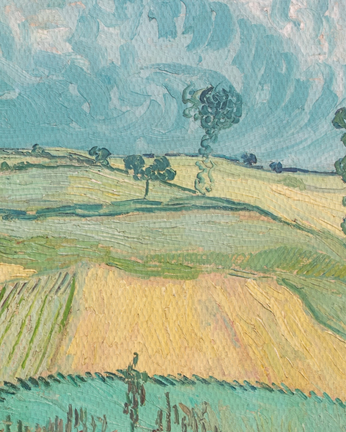 canvas