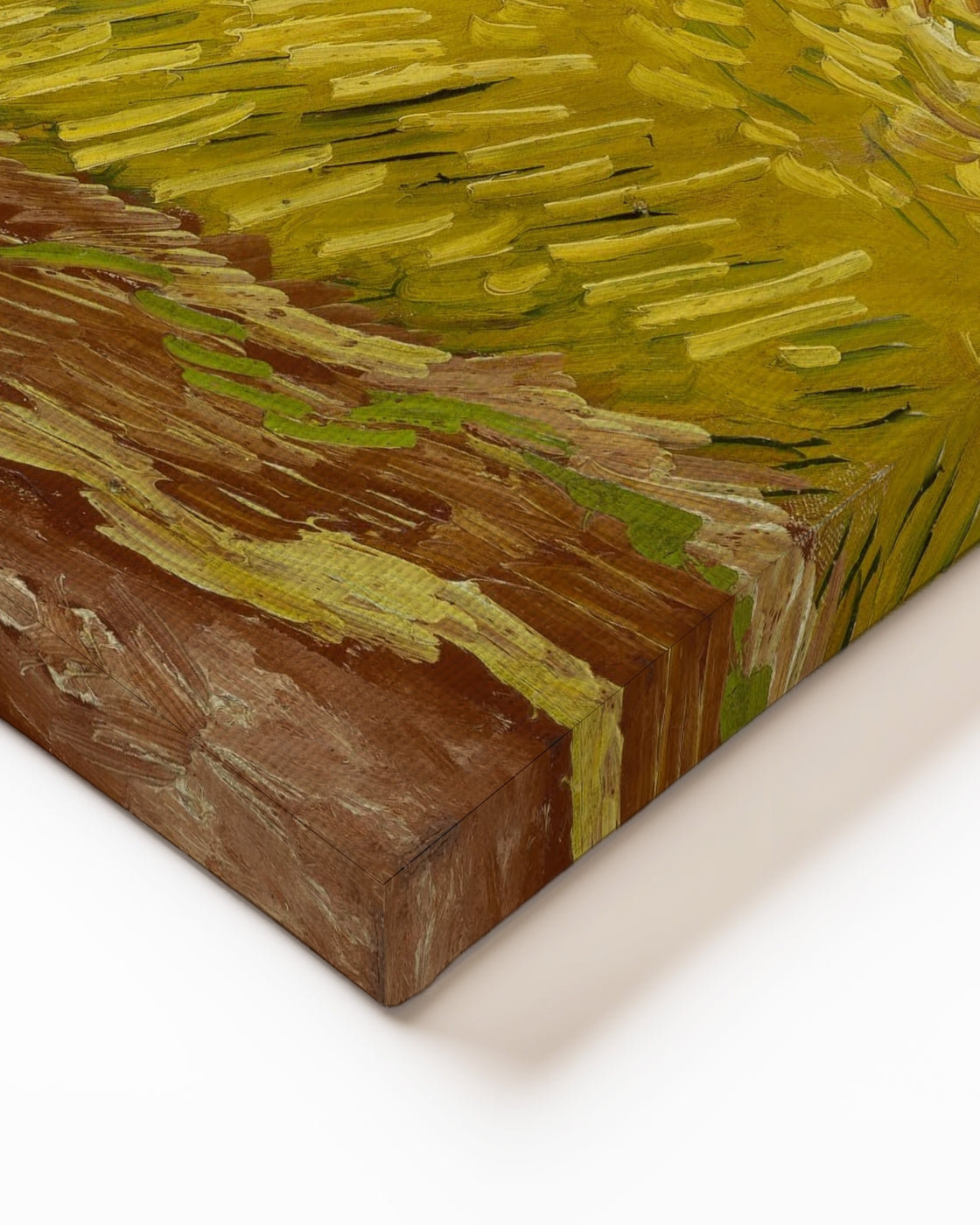 stretched-canvas
