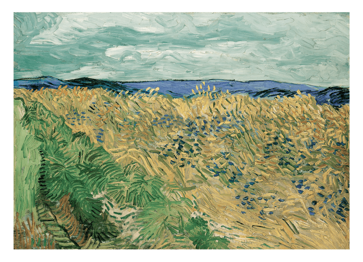 Vincent van Gogh - Weizenfeld mit Kornblumen (1890)