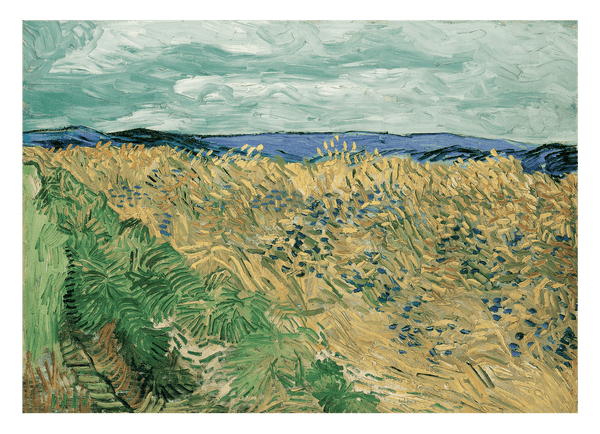 Vincent van Gogh - Weizenfeld mit Kornblumen (1890)