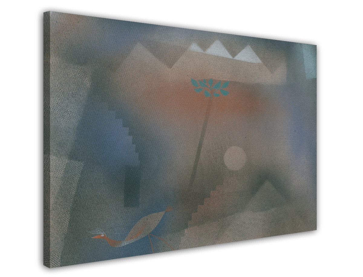stretched-canvas