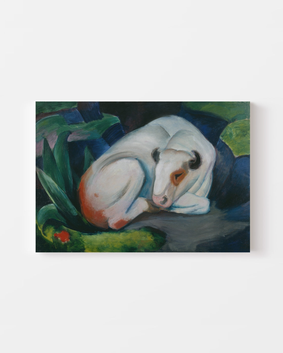stretched-canvas