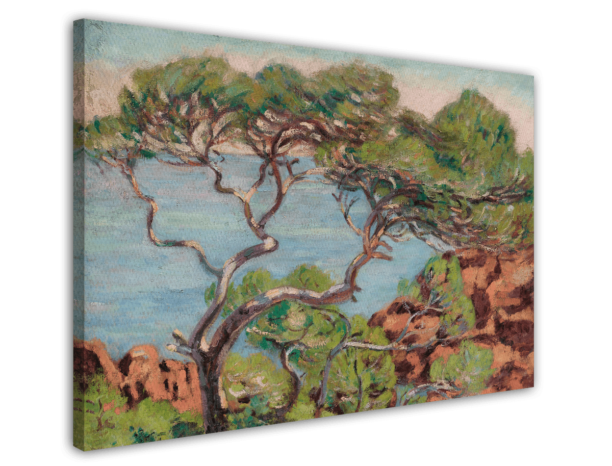 stretched-canvas