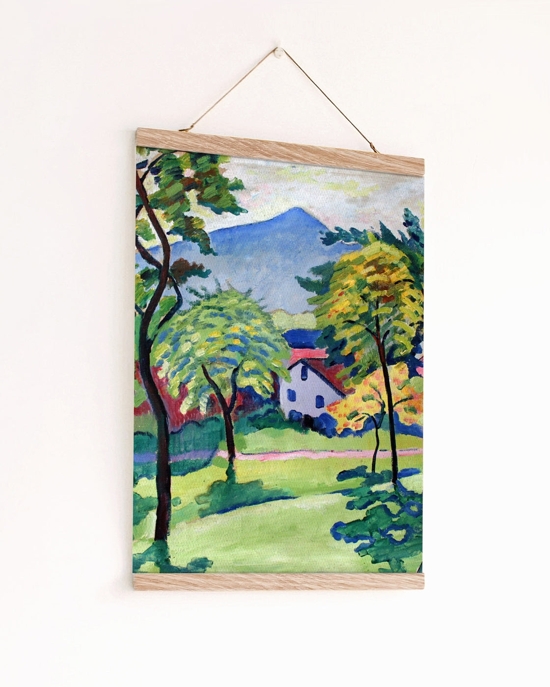 canvas