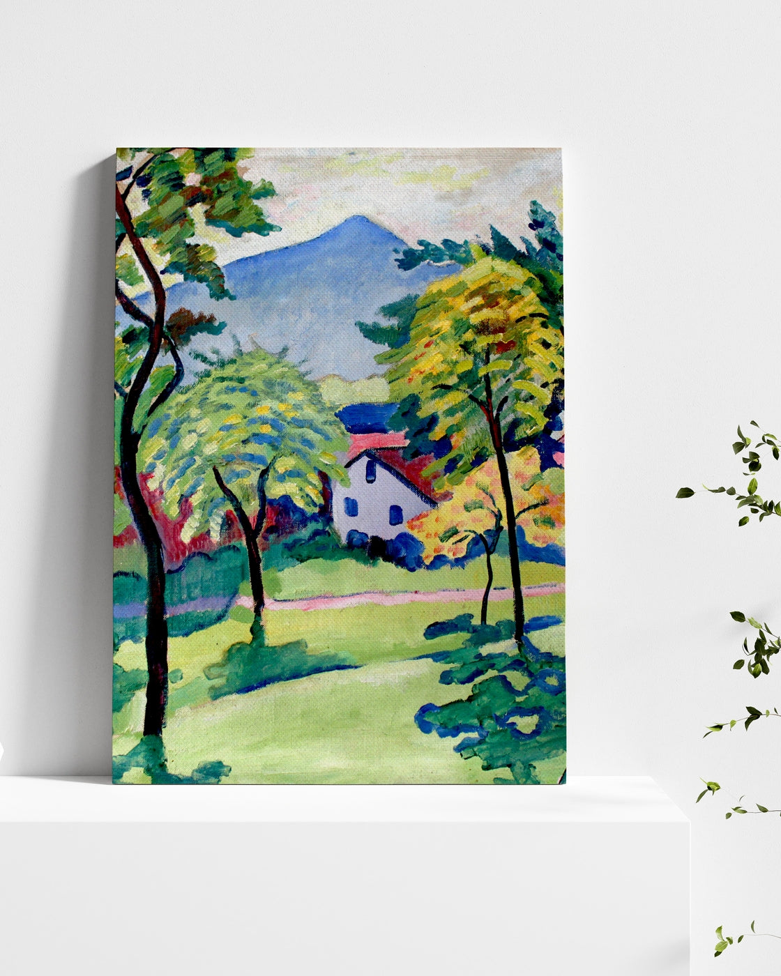 stretched-canvas