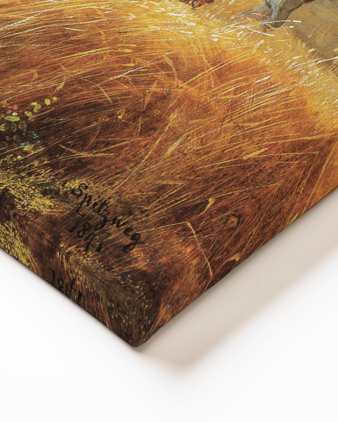 stretched-canvas