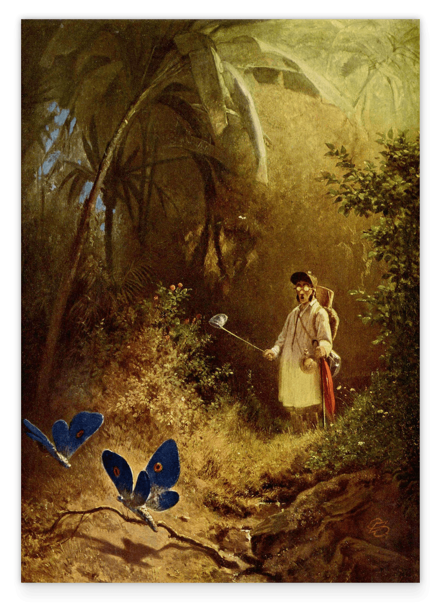 Carl Spitzweg - Der Schmetterlingsjäger