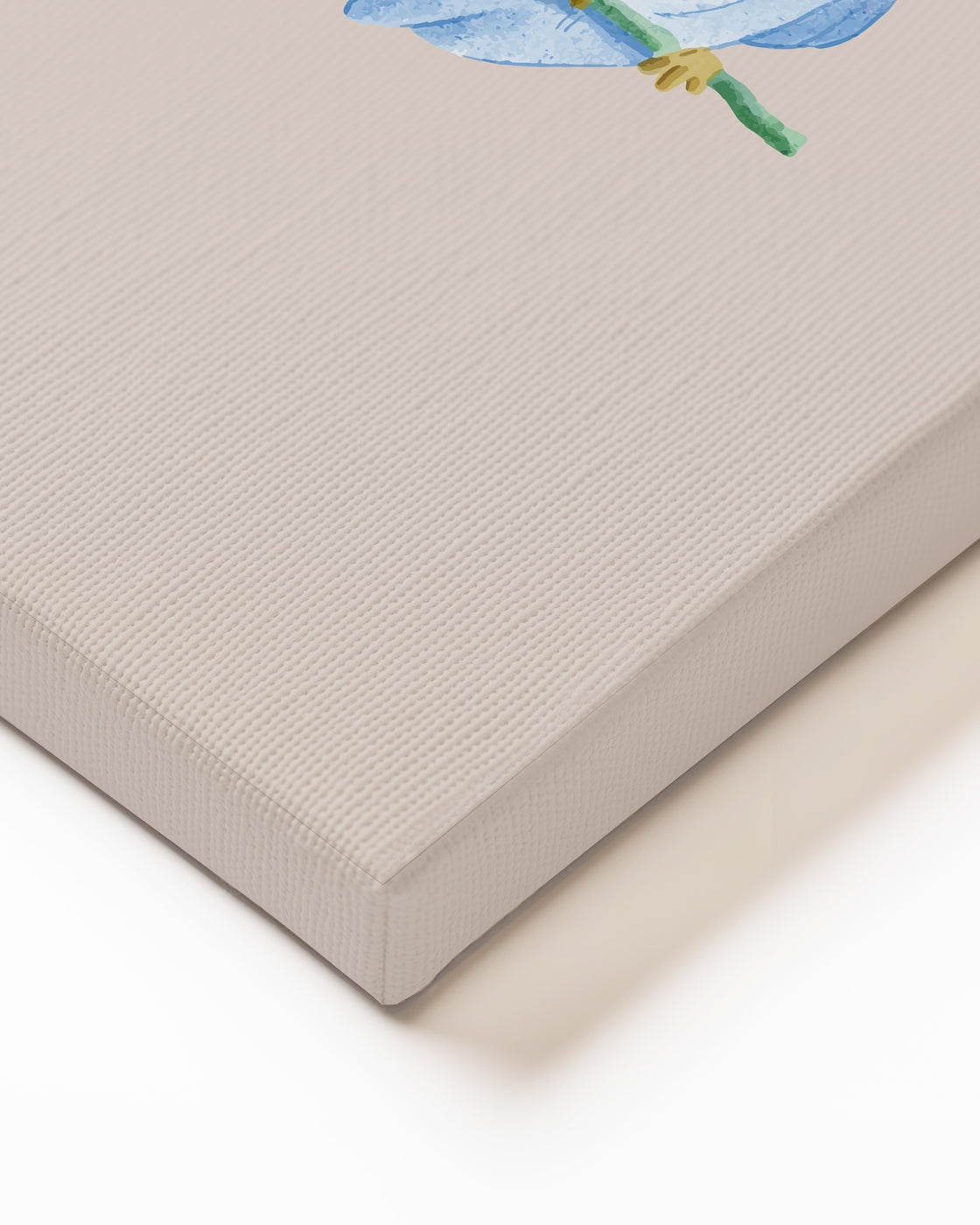 stretched-canvas