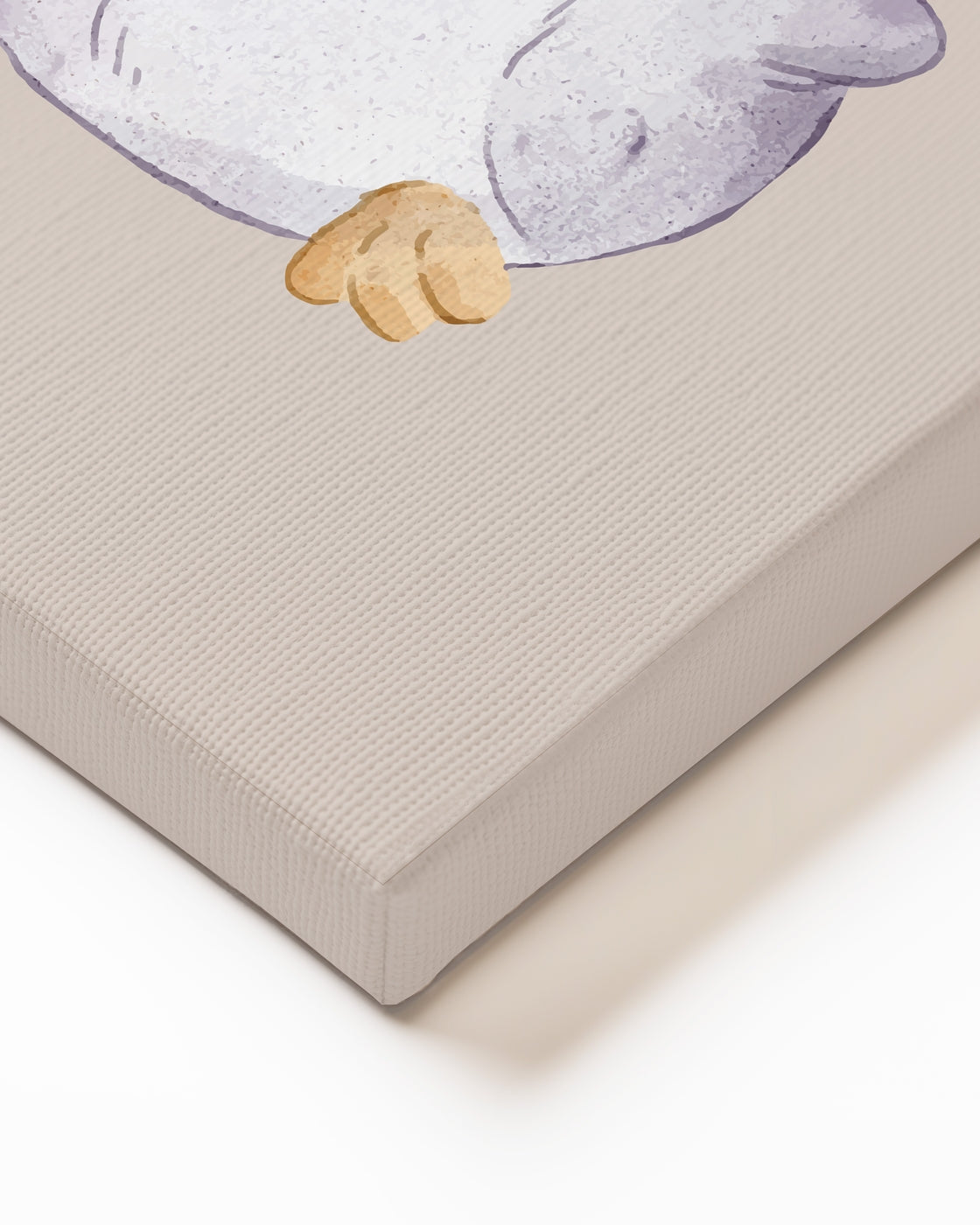 stretched-canvas