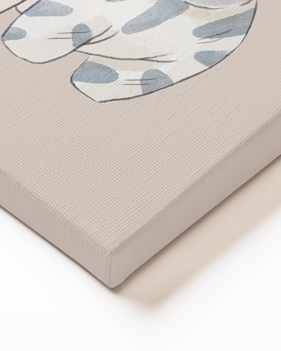 stretched-canvas