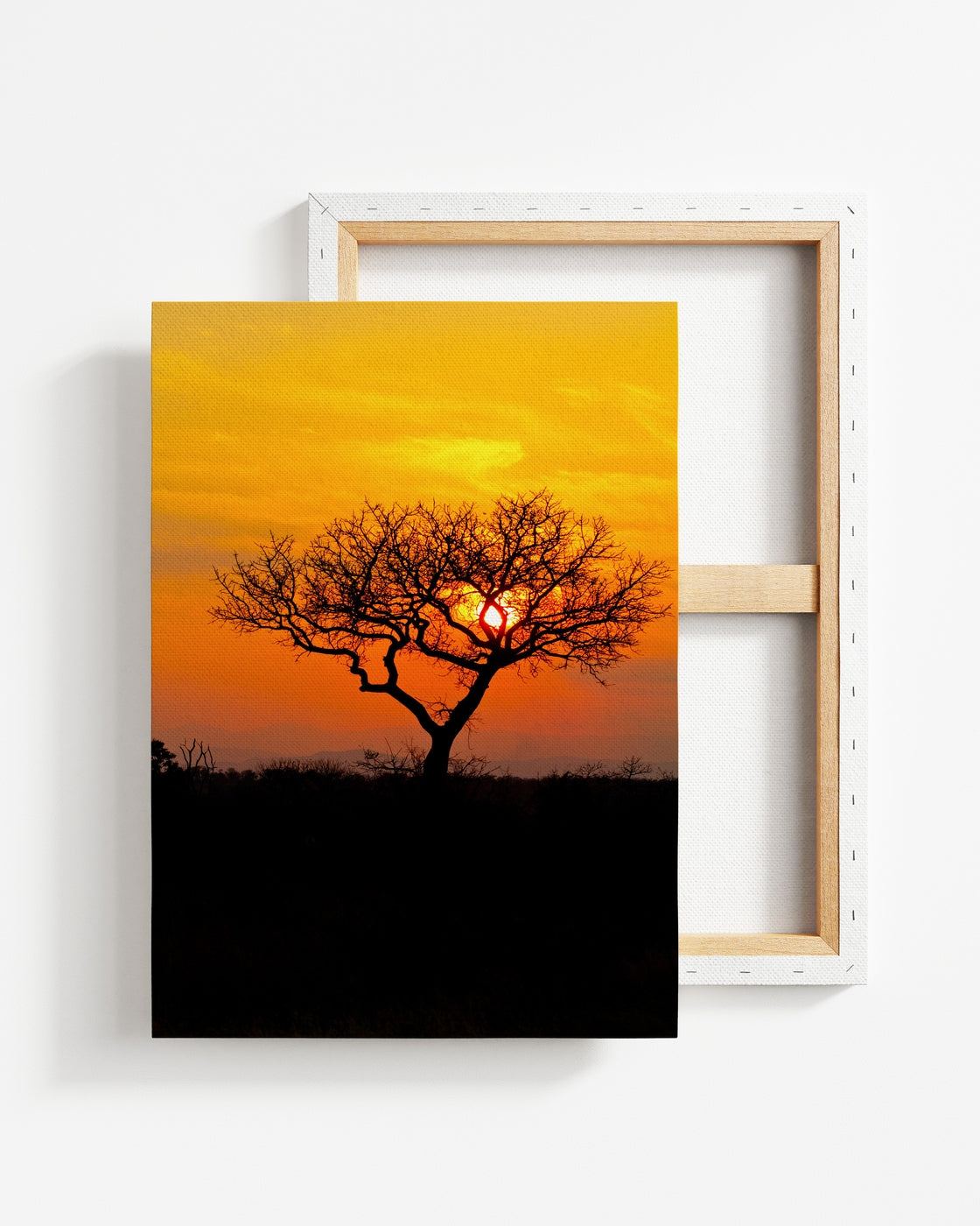 stretched-canvas