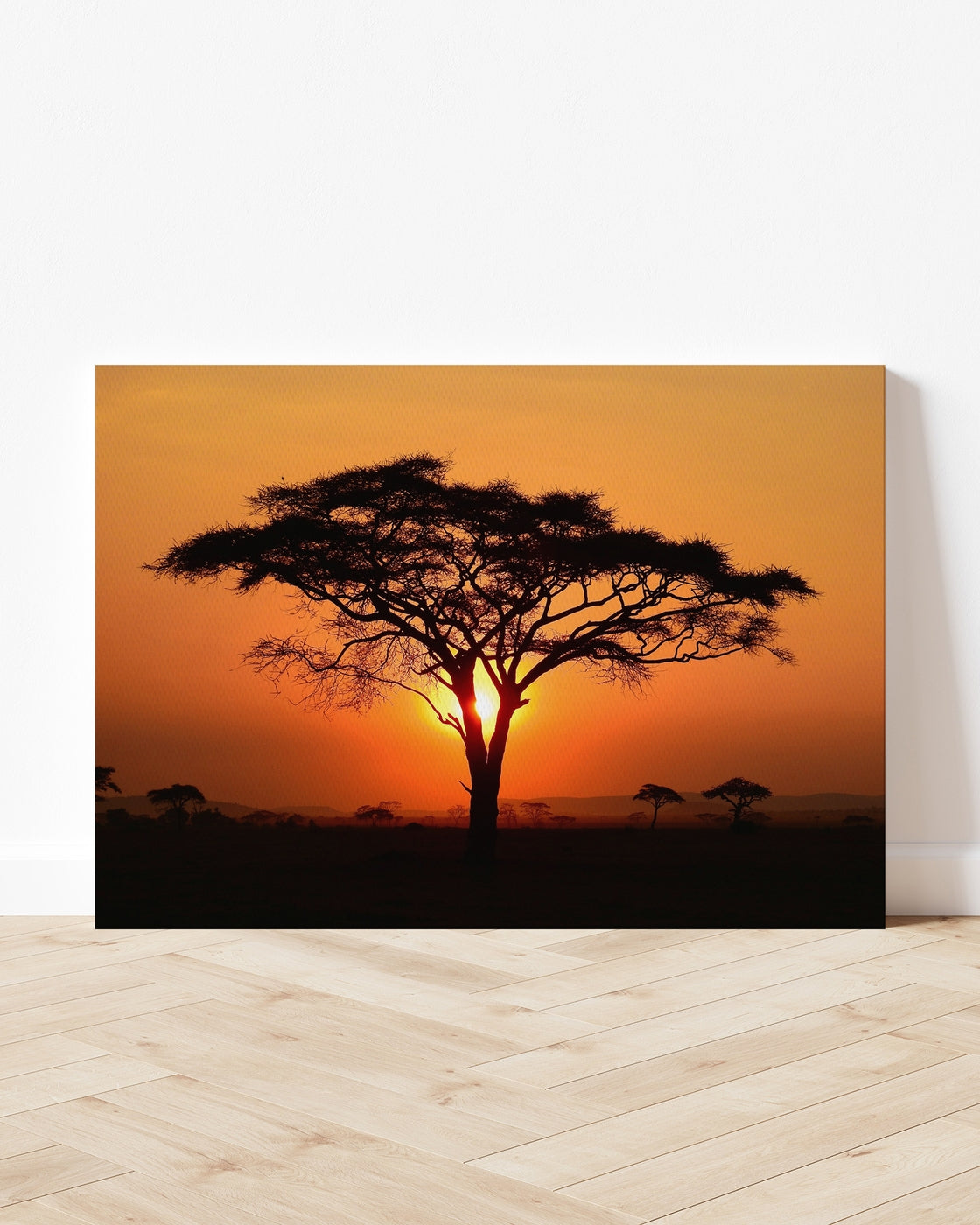 stretched-canvas