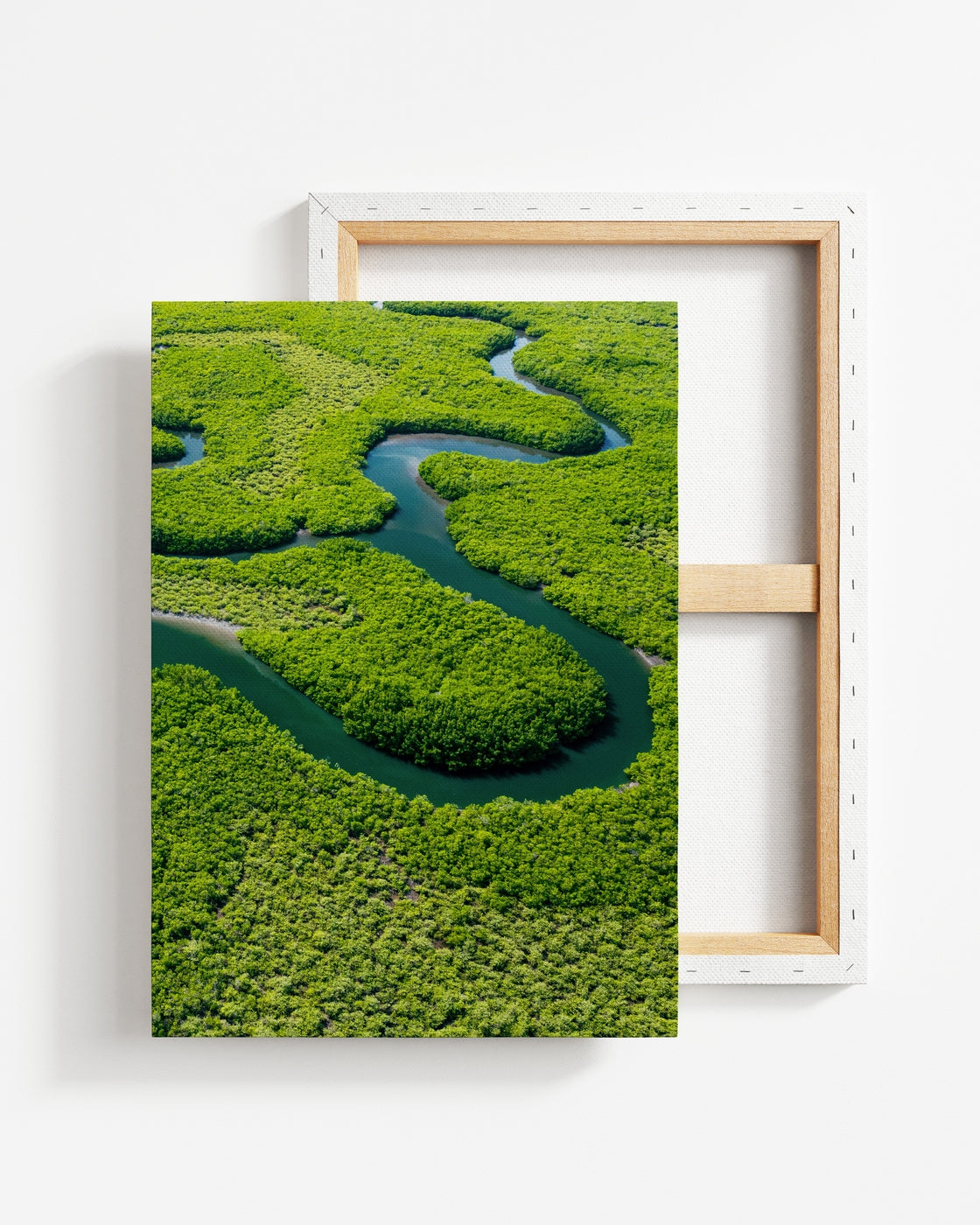 stretched-canvas