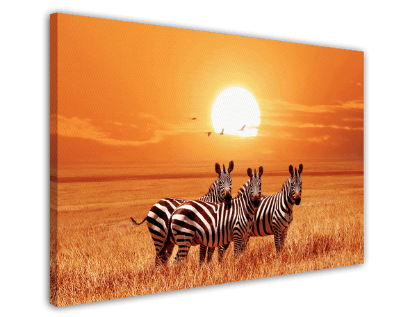 Zebras bei Sonnenuntergang
