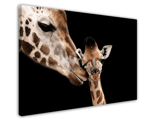 Giraffen-Mama und -Baby
