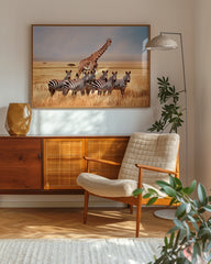 After Hover: Giraffe und Zebras in der Savanne