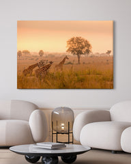 After Hover: Giraffen in der Savanne