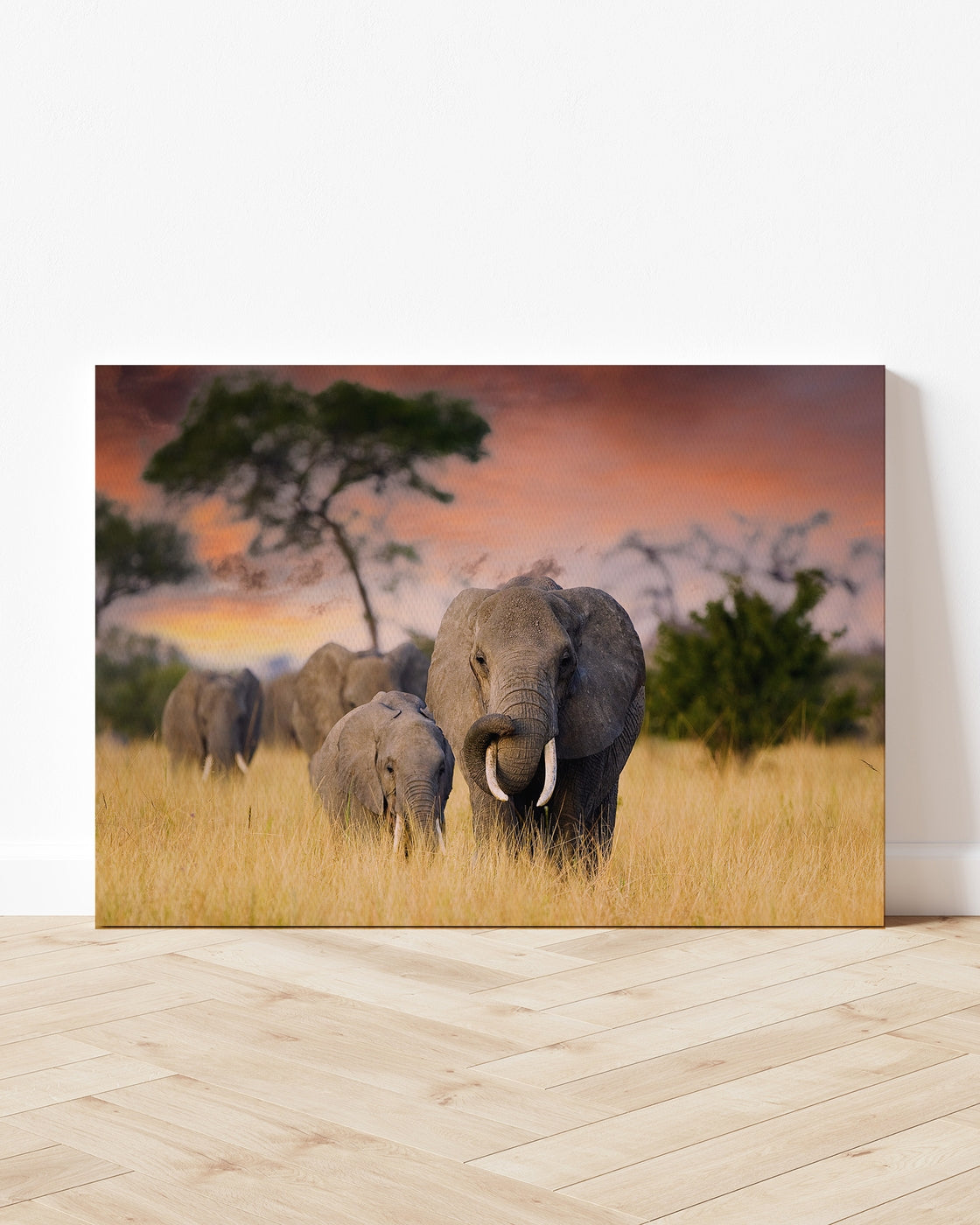 stretched-canvas