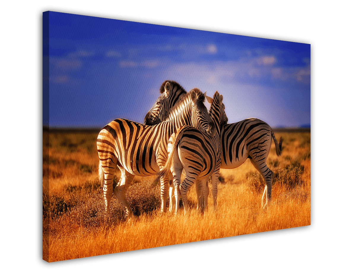 stretched-canvas