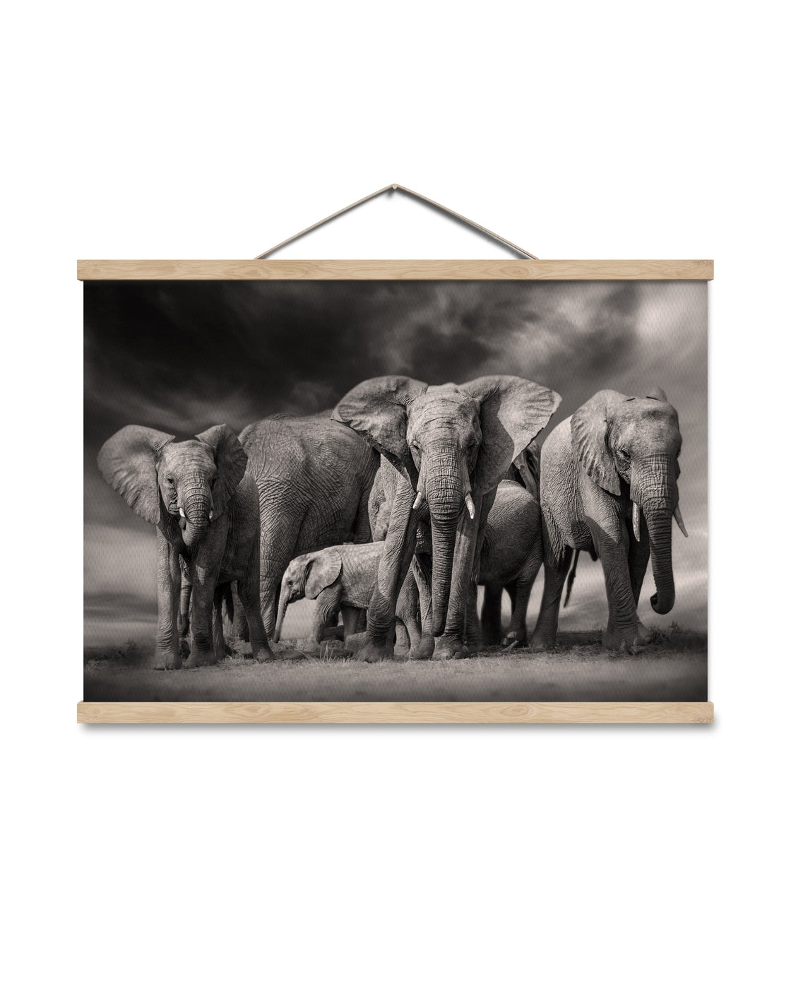 canvas
