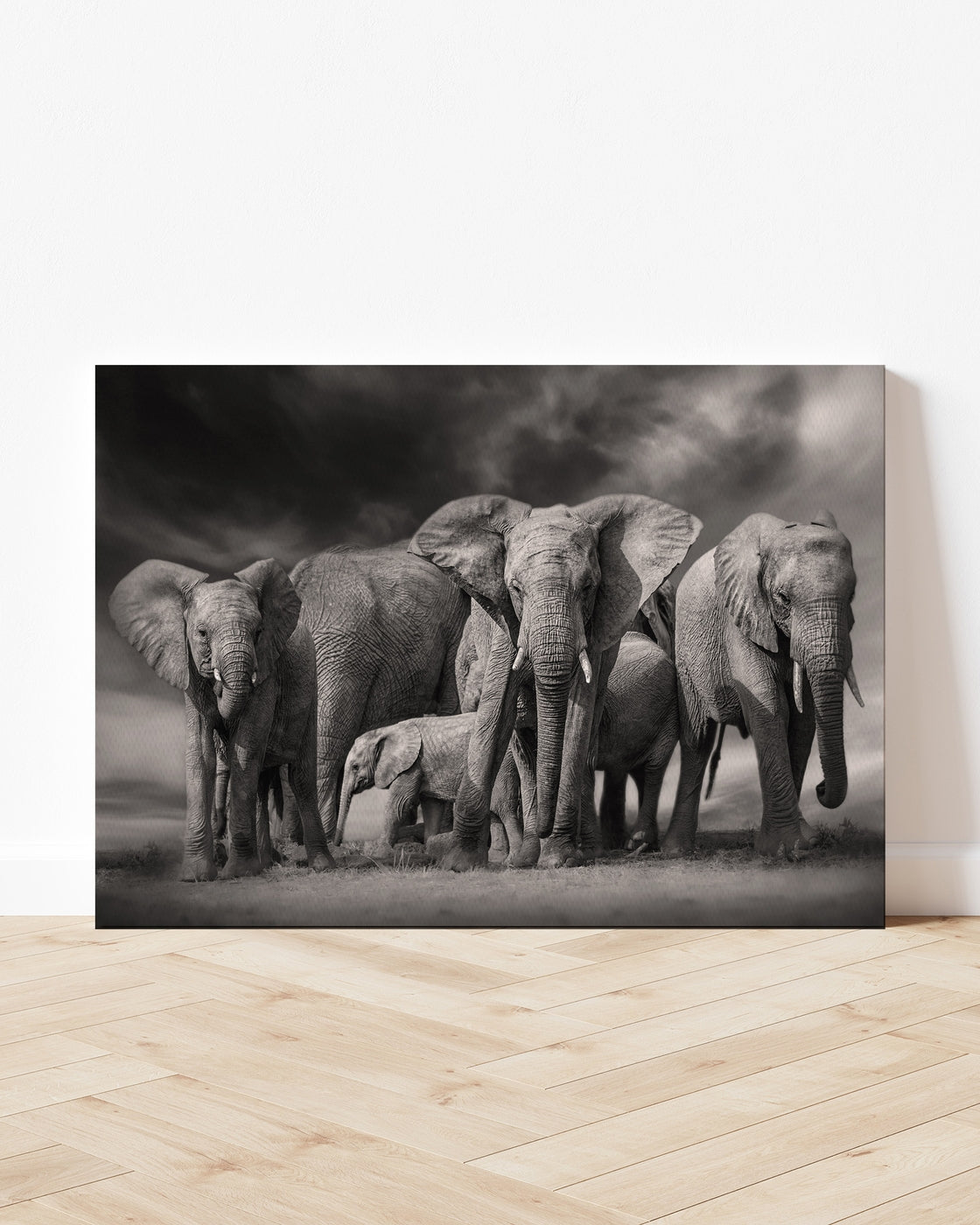 stretched-canvas