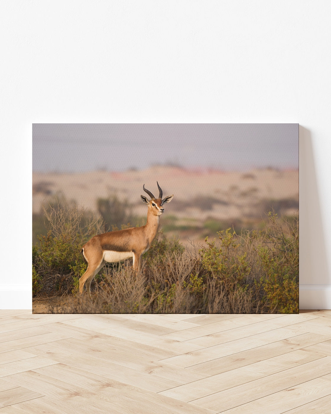 stretched-canvas