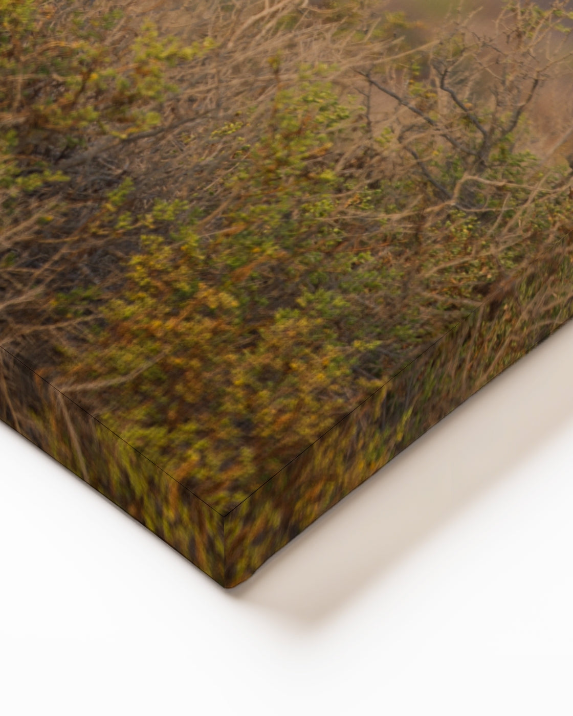 stretched-canvas