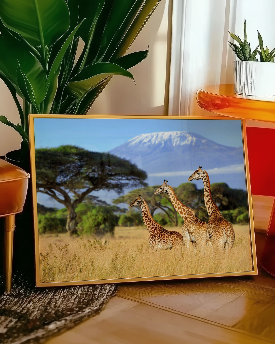canvas