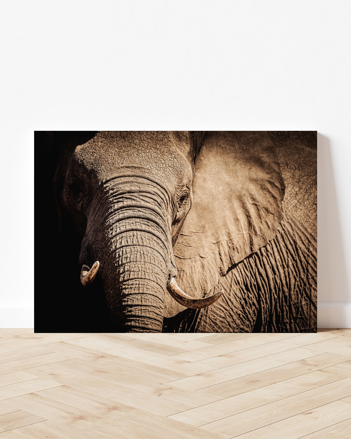 stretched-canvas