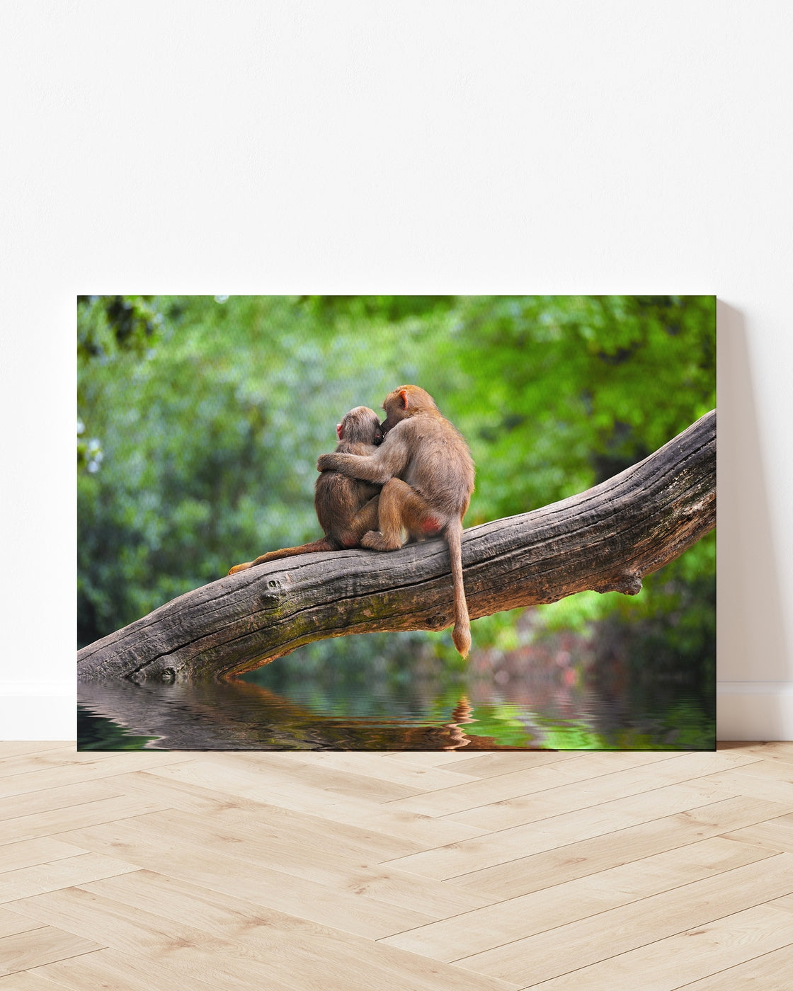 stretched-canvas