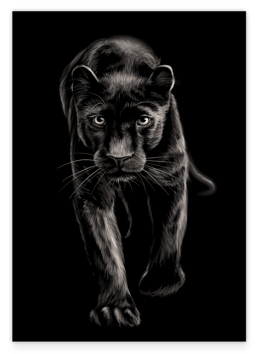 Schwarzer Panther