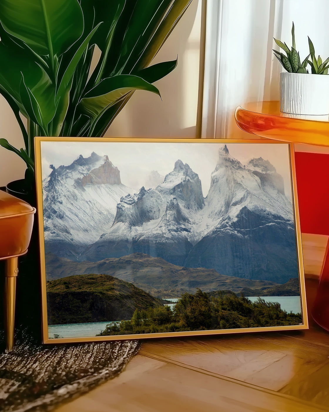 canvas