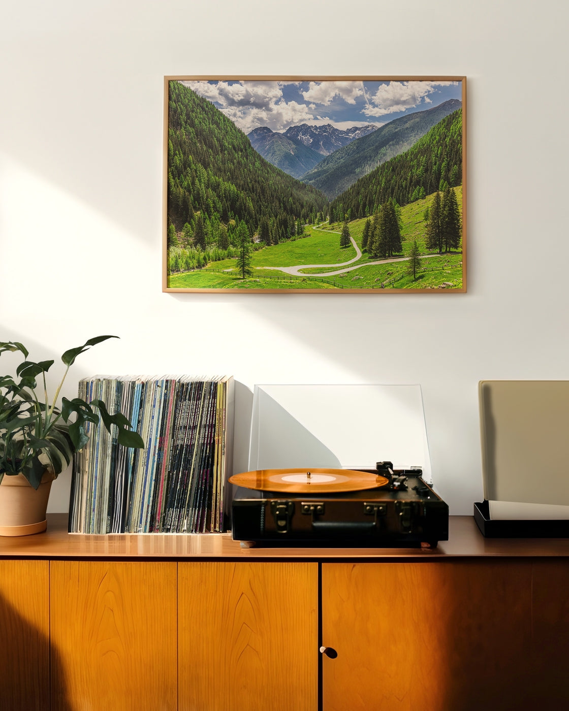 canvas