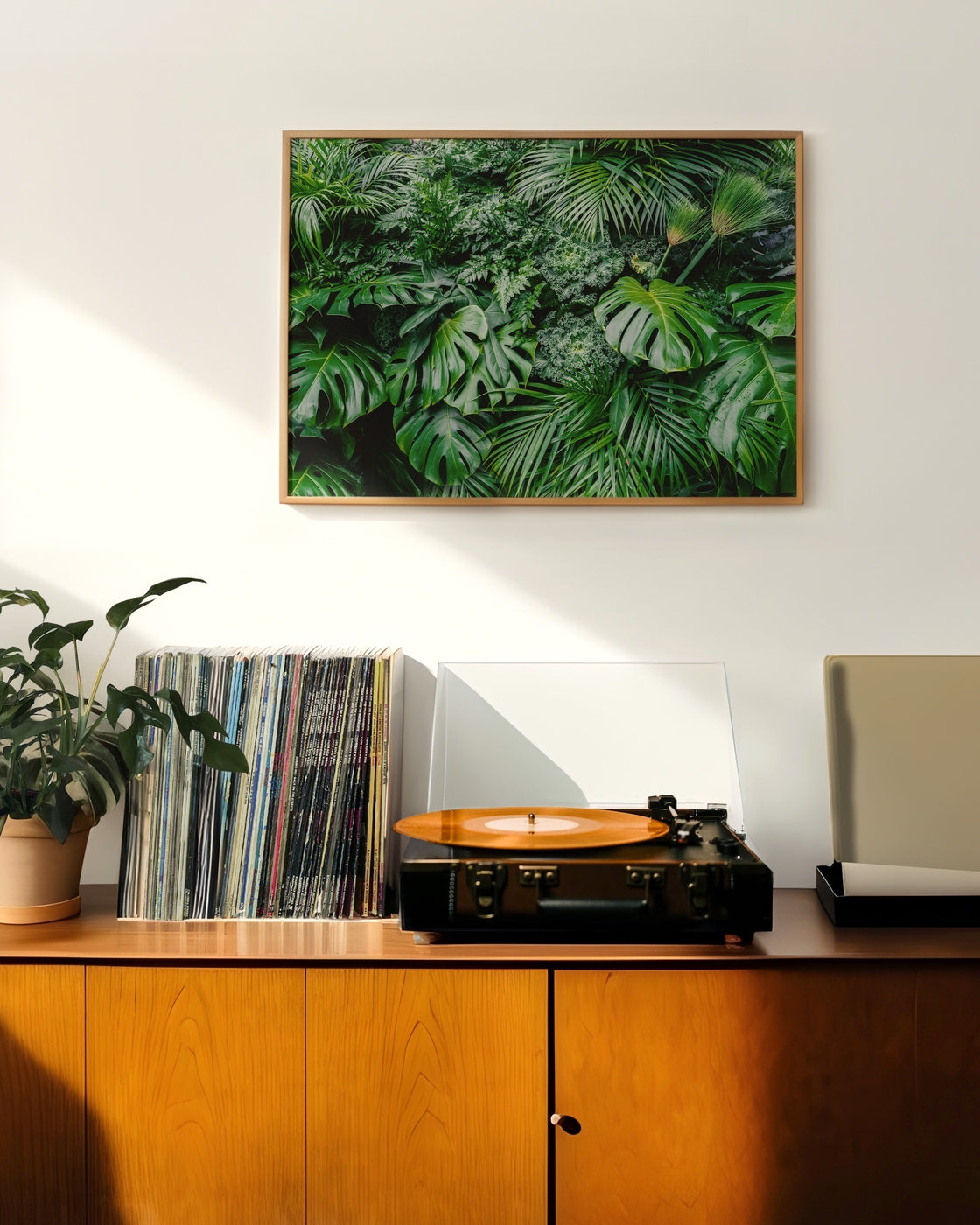canvas