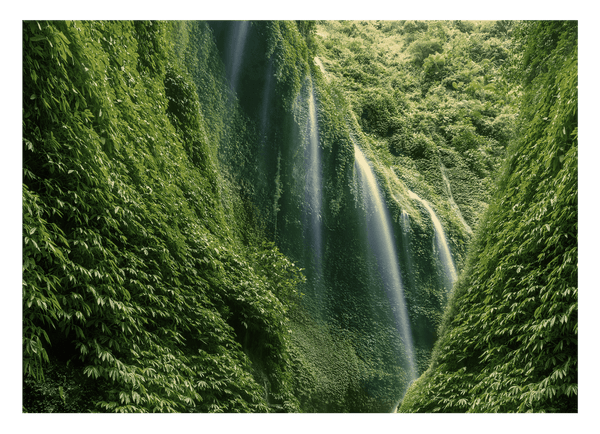 Wasserfälle im Regenwald