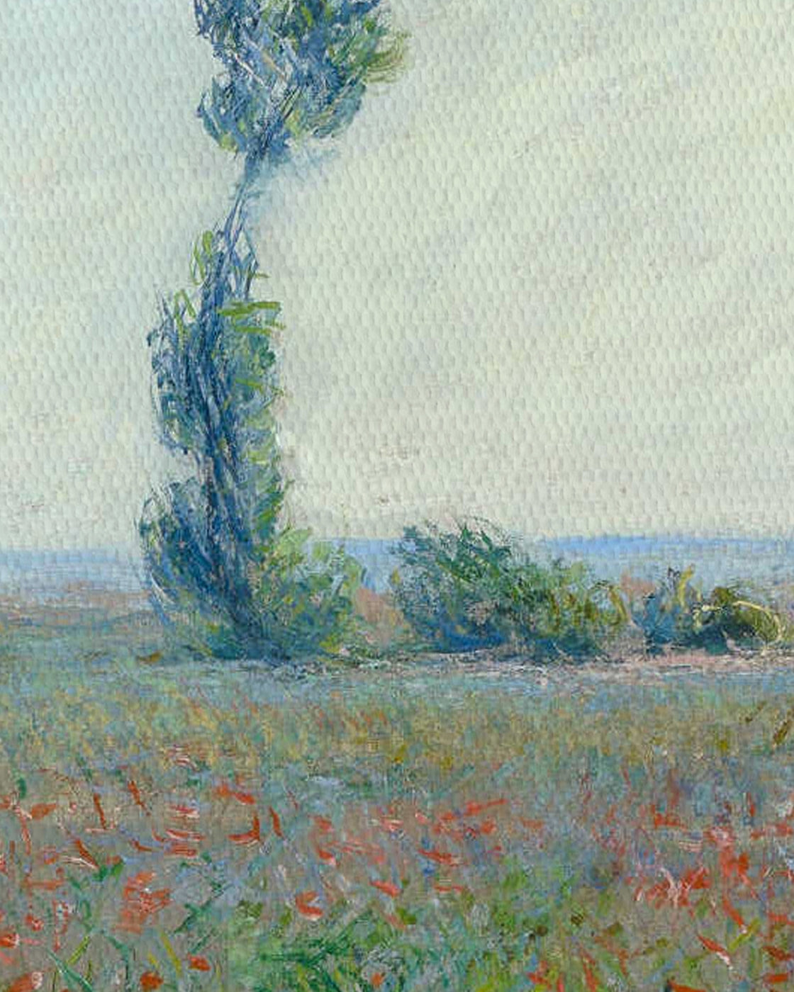 canvas
