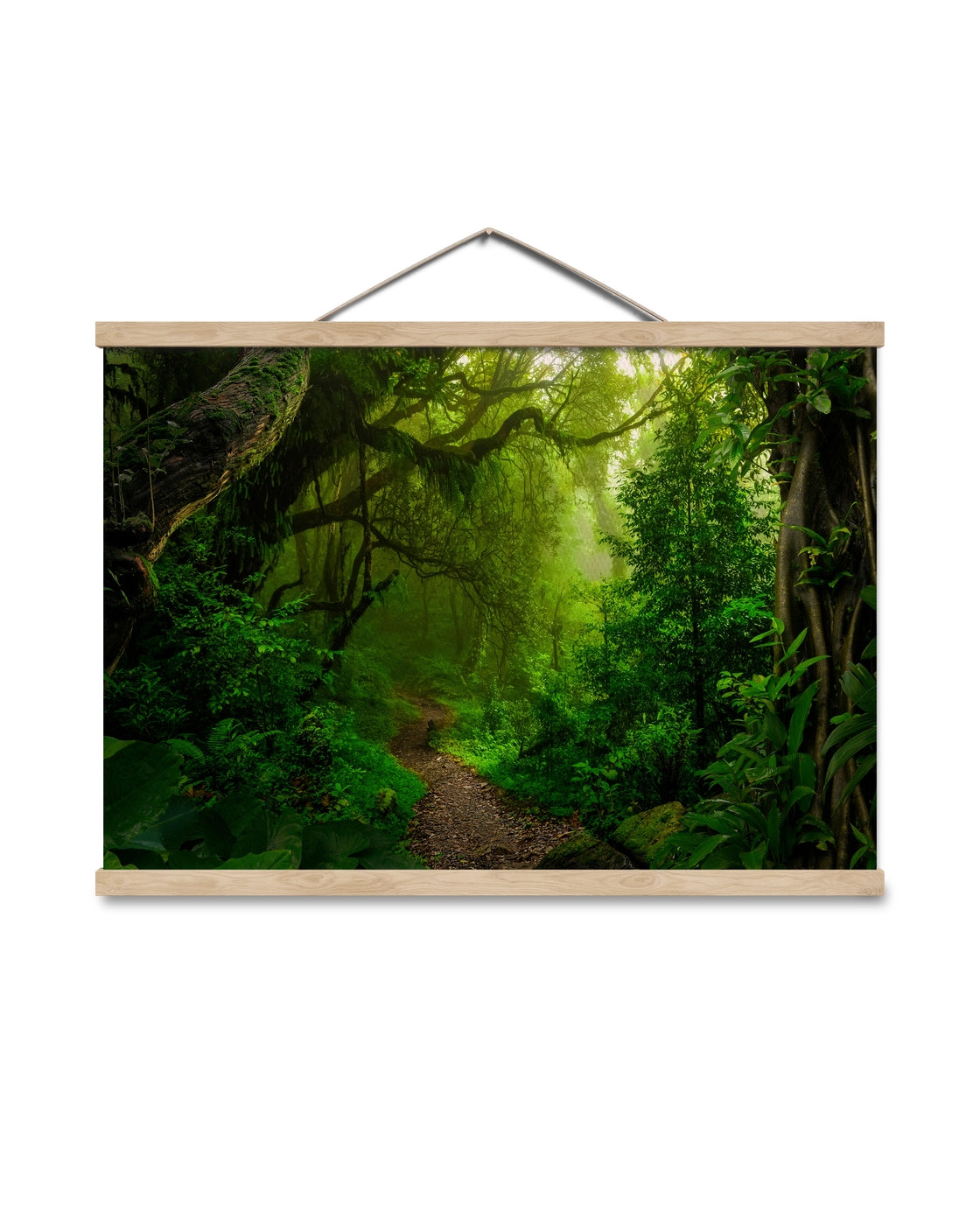 canvas