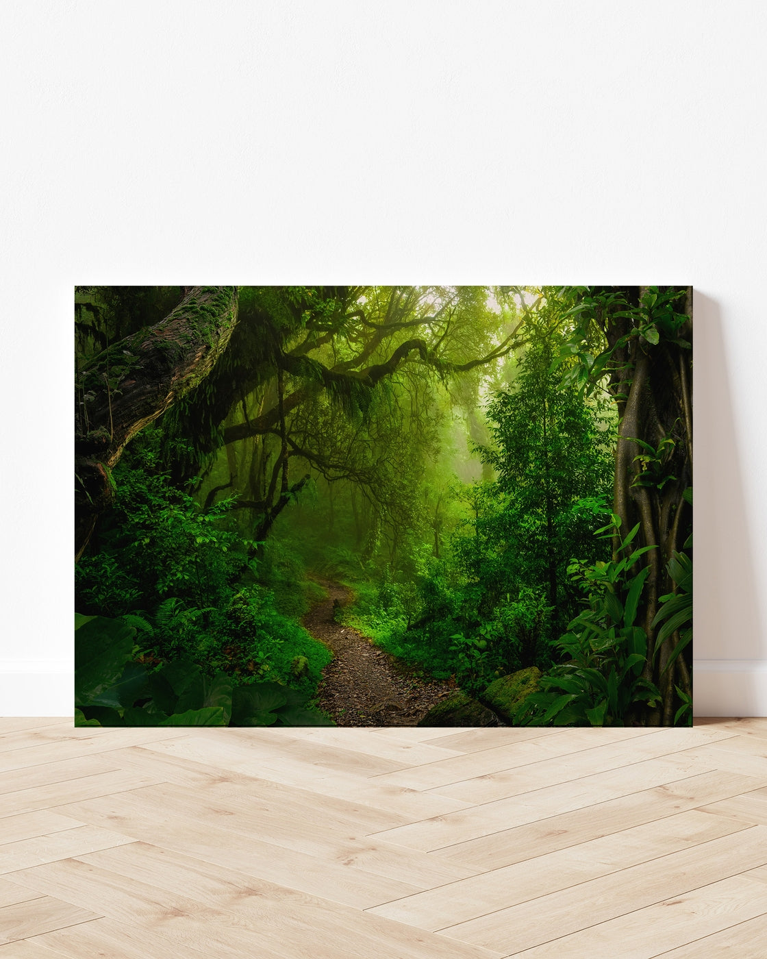 stretched-canvas