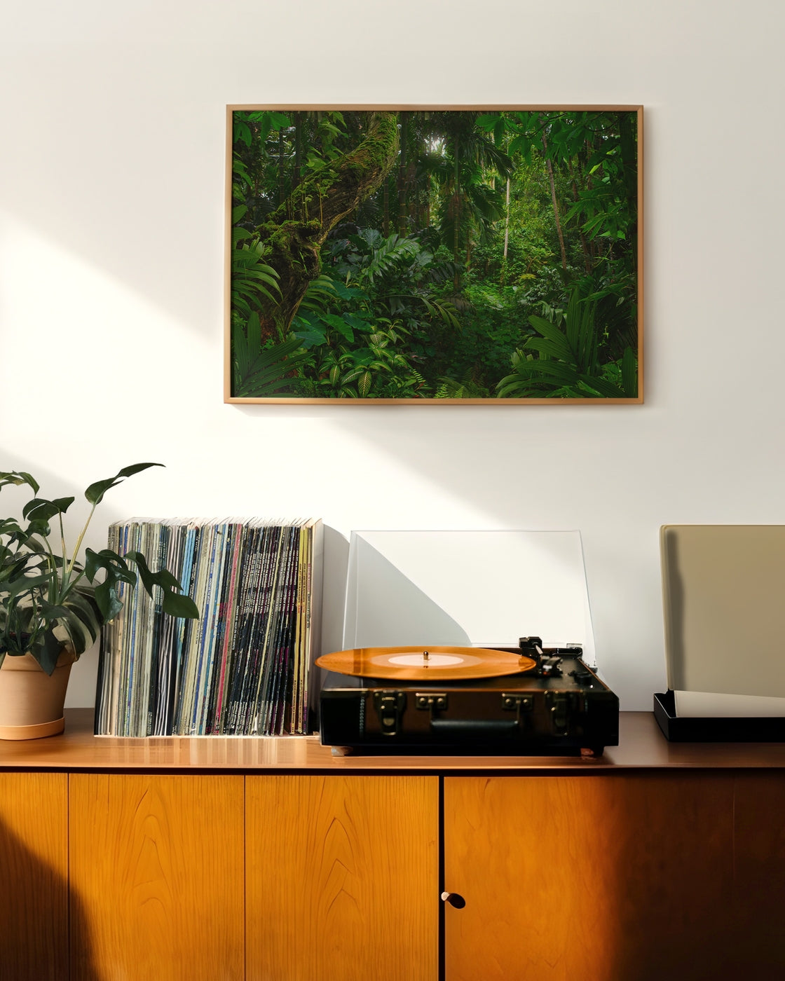 canvas