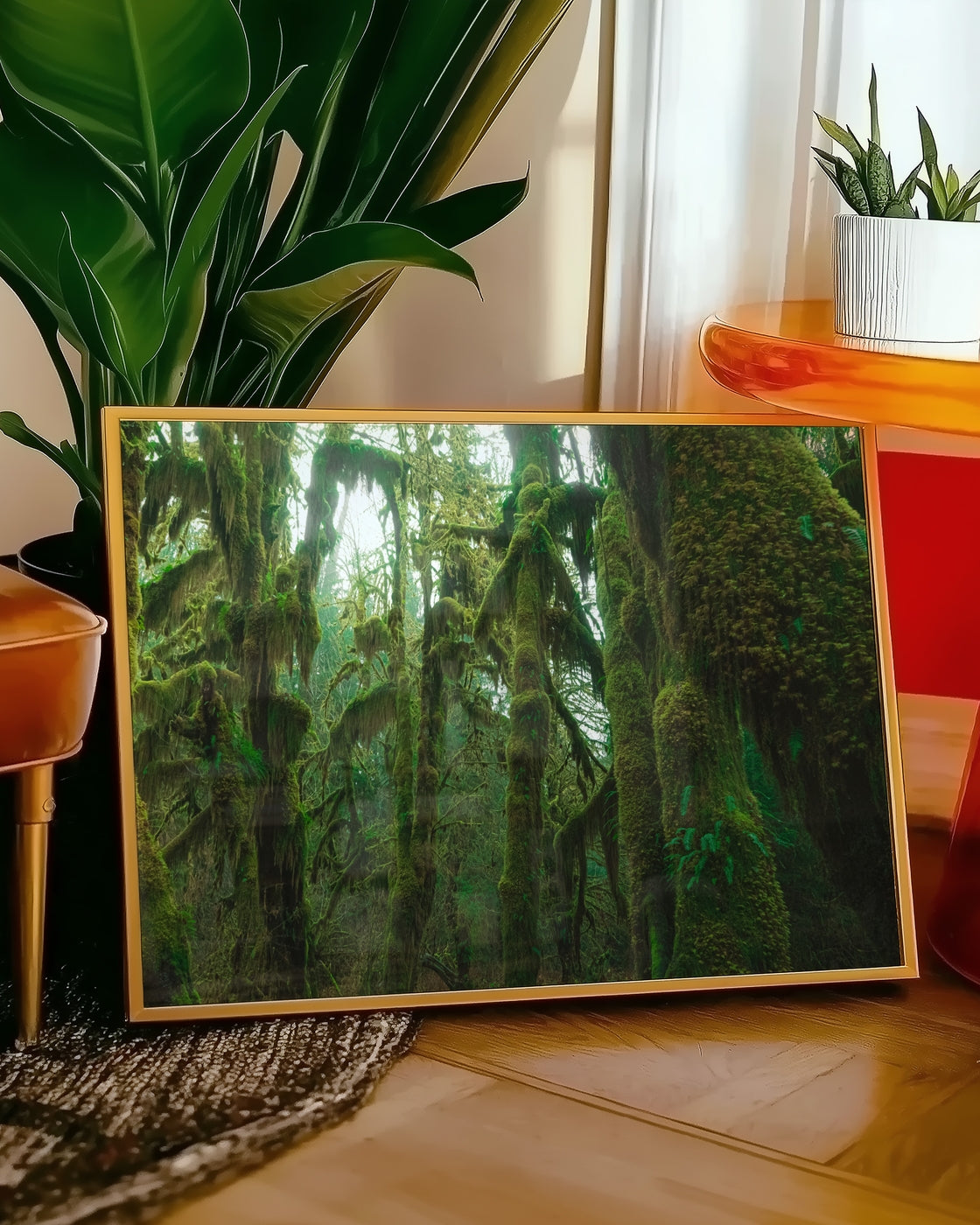 canvas