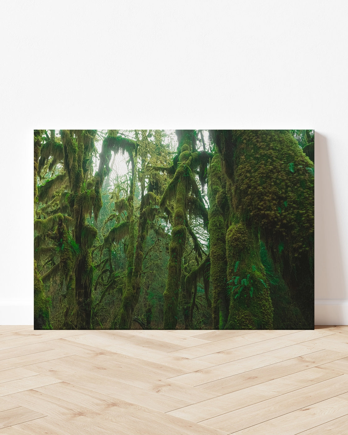 stretched-canvas